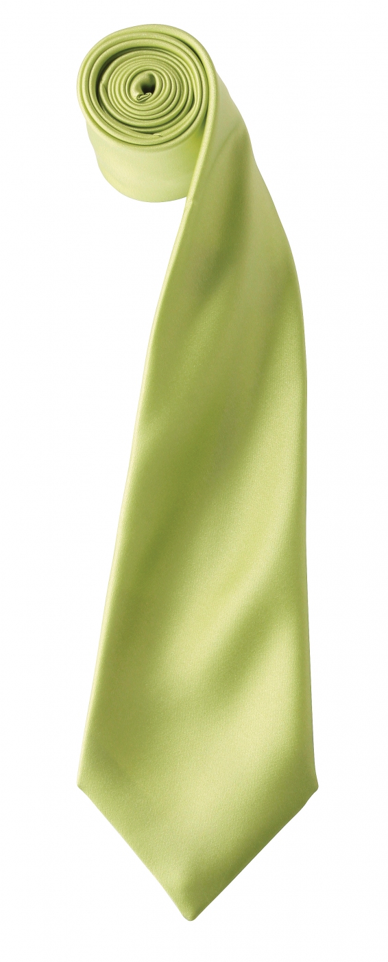 Uniforme Receptioneri - Cravata uni din satin lucios pentru receptioner hotel